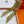 HM Twilly Small Silk Scarf 825650