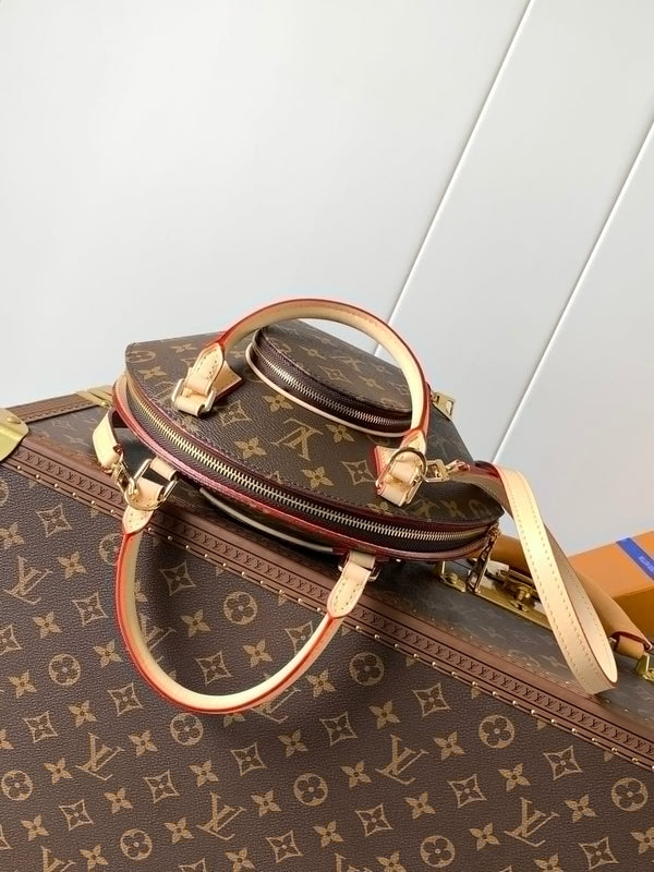 LV Small Ellipse Monogram Canvas Bag 126841