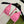 GG 26s Swimsuit Pink Polyamide 243577