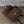 CC Vintage Classic Timeless Backpack 28cm Quilted Lambskin