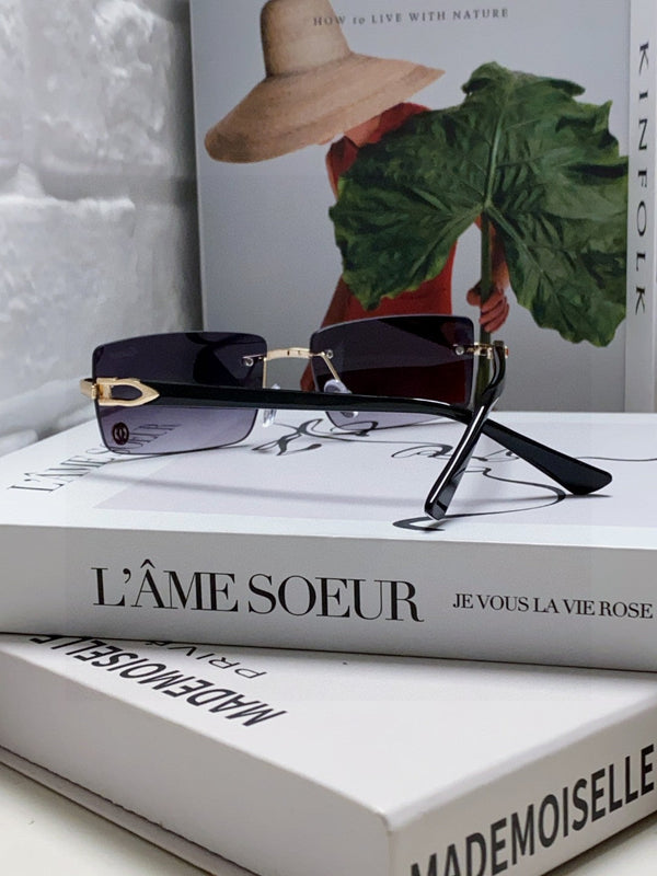 C DE RECTANGULAR FRAME SUNGLASSES 555890 IN METAL AND ACETATE